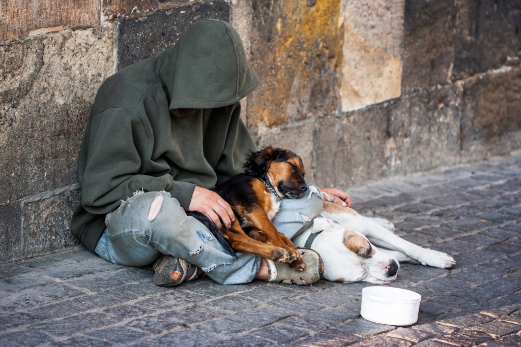 man and dog in the Phoenix heat